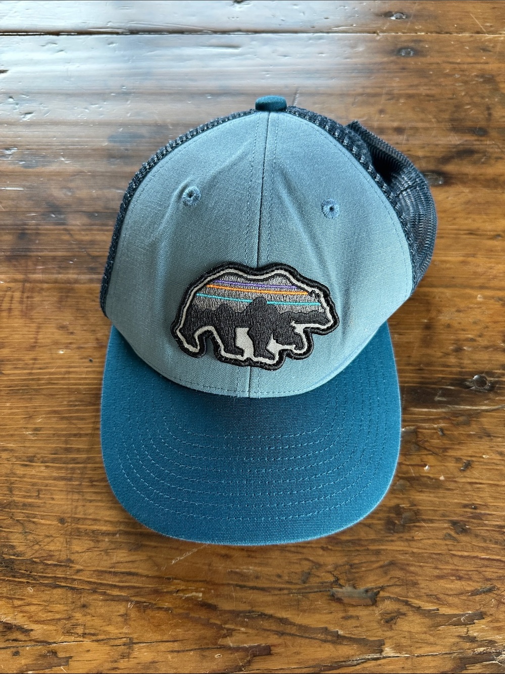 Patagonia Teal and Blue Bear Patch Trucker Hat